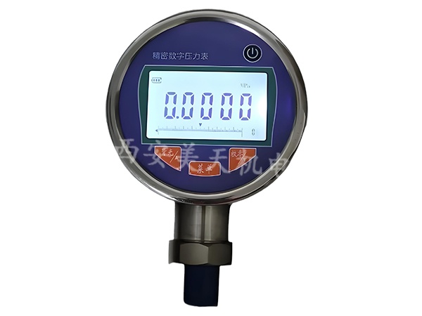 1760327014159849.jpg RGY-501数字压力表.jpg
