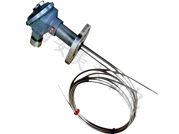 1768896825420539.jpg WRN多点热电偶.jpg